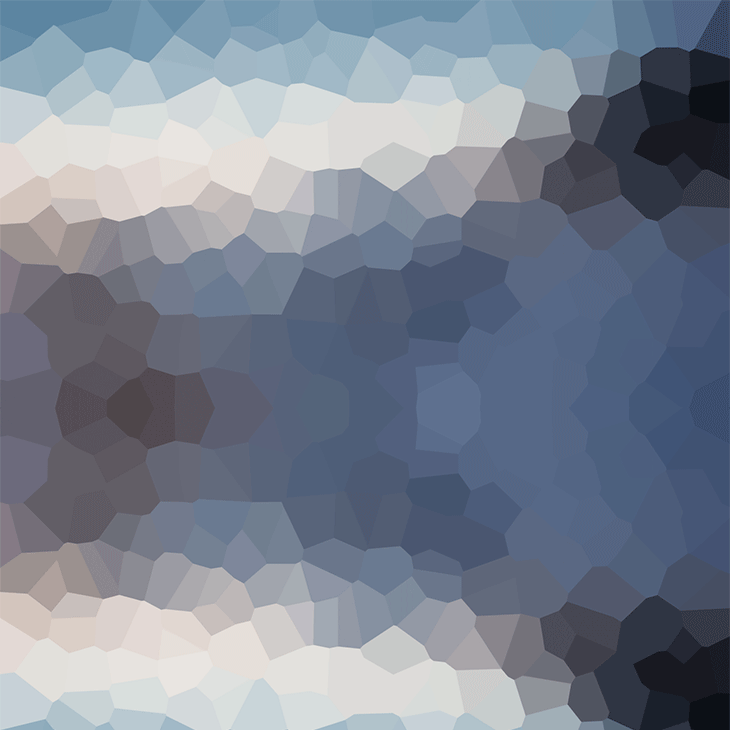 Asset Risk Management